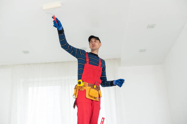 Trusted Laurence Harbor, NJ Mold Removal Experts